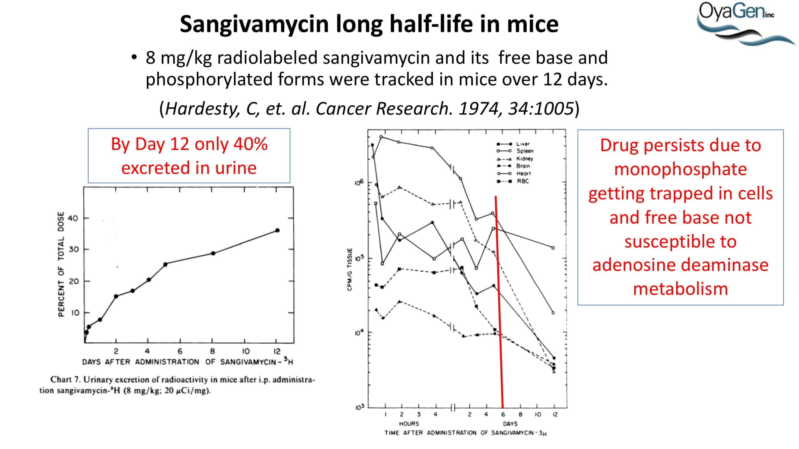 4-SlideDeck_Oya1_1651759792-12