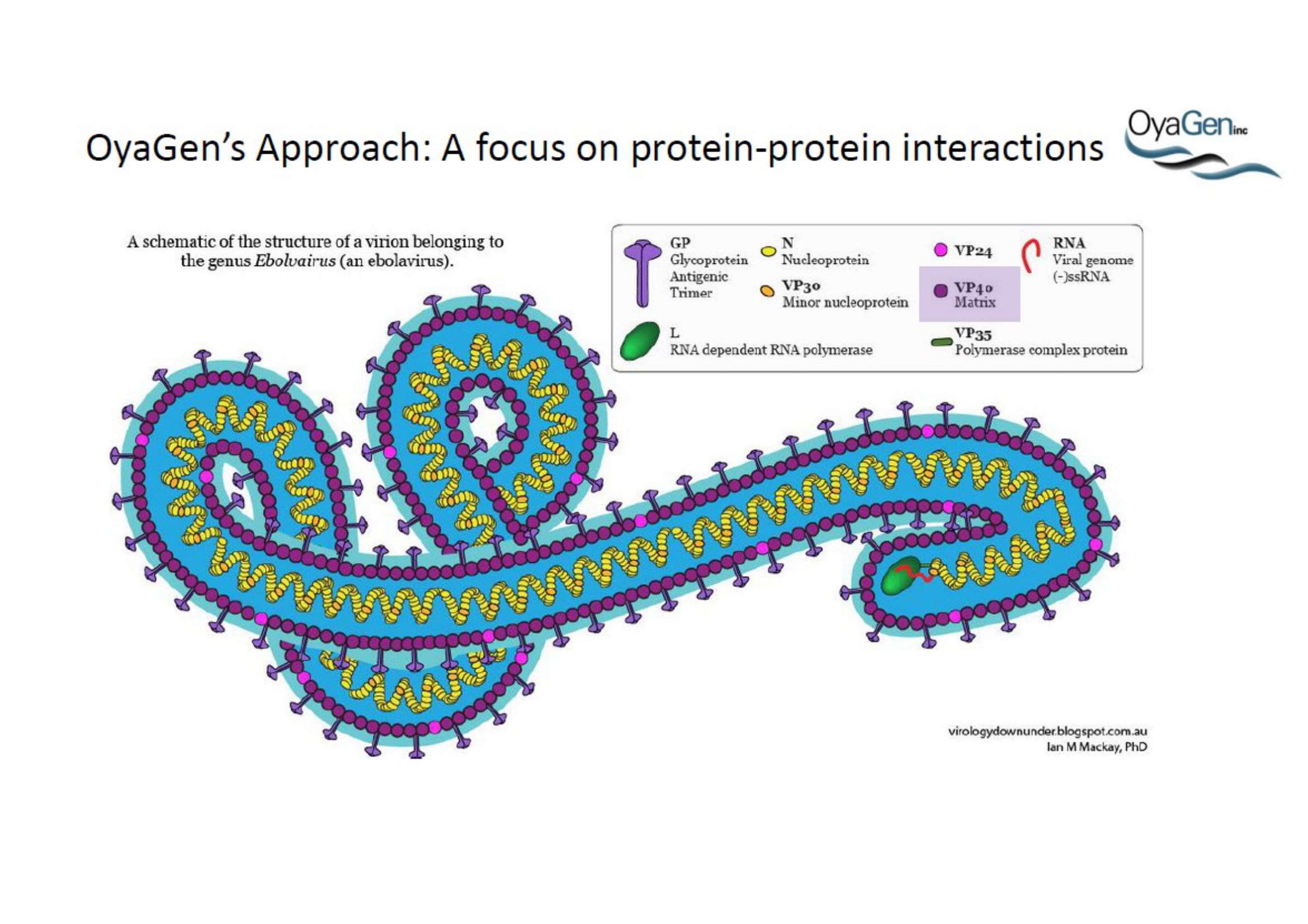 Ebola-presentataion-05